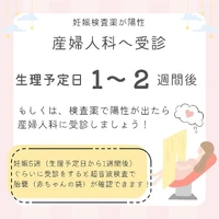 画像335