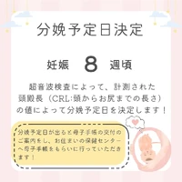 画像337