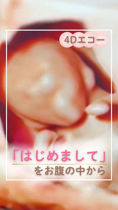 画像366