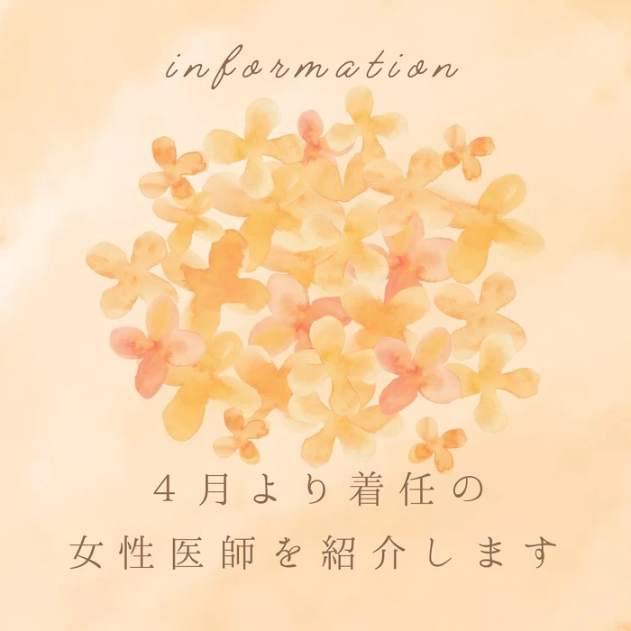 画像382