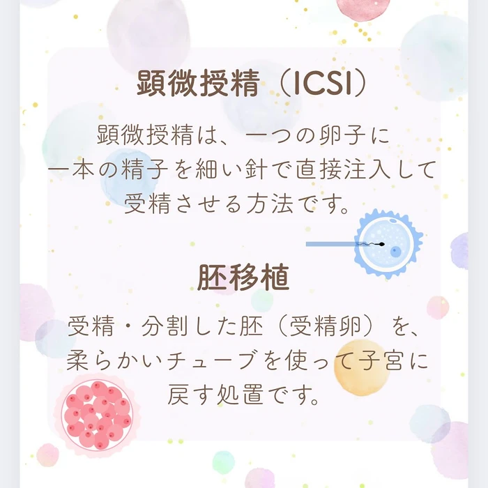 画像542