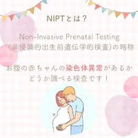 画像547