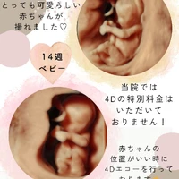 画像666