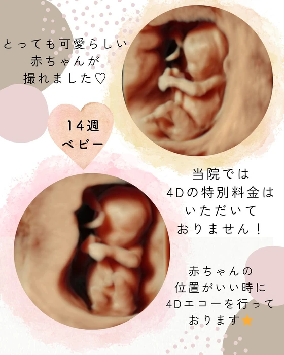 画像666