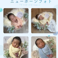 画像786