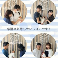 画像799